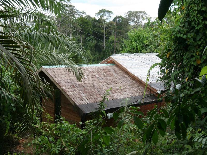 Paganakan Dii Tropical Retreat Sepilok Εξωτερικό φωτογραφία