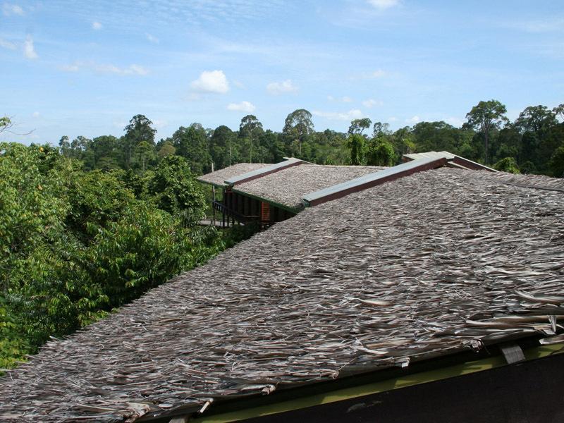 Paganakan Dii Tropical Retreat Sepilok Δωμάτιο φωτογραφία