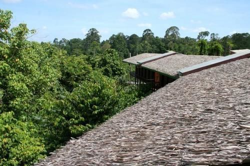 Paganakan Dii Tropical Retreat Sepilok Εξωτερικό φωτογραφία